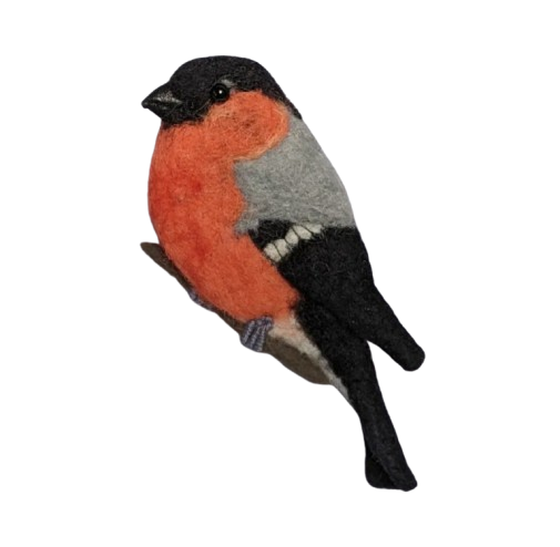 Eurasian bullfinch Brooch