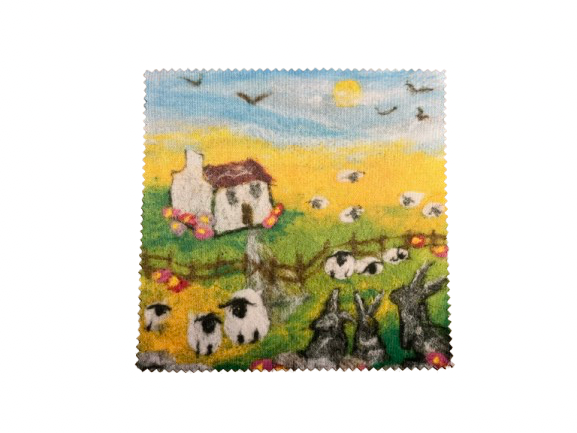 Glasses Cleaning Cloth